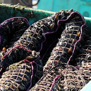 Tubular Polyethylene Net Mussel Mesh thumbnail-2