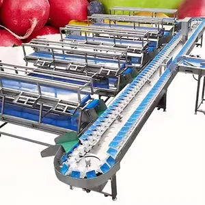 Sorting Grading Machine for Large Fruit Grapefruit Pomelo Cantaloupe Coconut Fruit Weight Classifier Fruit Processing Line Optical Sorter thumbnail-3
