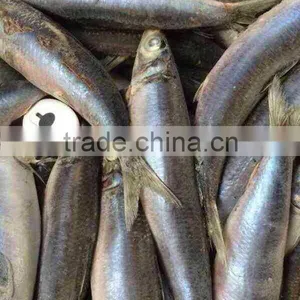 Frozen Sardine 100-150g thumbnail-6
