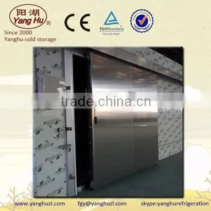 Cold Storage Electric Sliding Door thumbnail-1