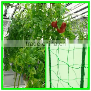 100% New Material PE Plastic Tomato Climbing Net Add UV Additives thumbnail-2