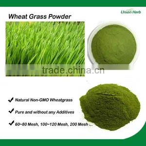 Organic Non-GMO Wheat Grass Powder thumbnail-1