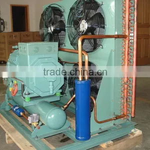 Low Noise Bizter Compressor Air Cooled Condensing Unit With High Quality thumbnail-2