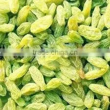 Golden Raisin Yellow Raisin Green Raisin thumbnail-6