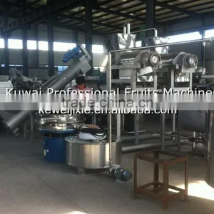5 Tons Pineapple Production Line thumbnail-2