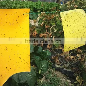 Weather Condition Yellow Sticky Hanging Mosquito ,fly ,insects Plastic Glue Trap thumbnail-1