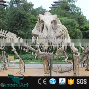 OAV3112 1:1 Scale Artificial Resin Dinosaur Skull thumbnail-5
