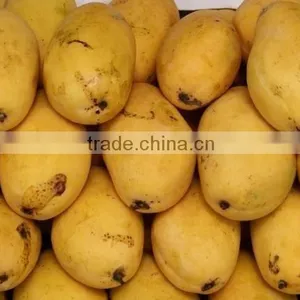 Fresh Chunsa Mango thumbnail-2