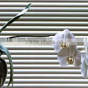 25mm Coated Matt White Color Aluminum Venetian Blind thumbnail-1