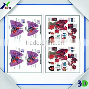3D Embossed Plastic Medical Wall Posters, OEM 3D Anatomical Charts thumbnail-6