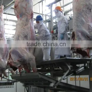 50 Cattle Cow Beef Halal Type Slaughter Line Equipment thumbnail-4