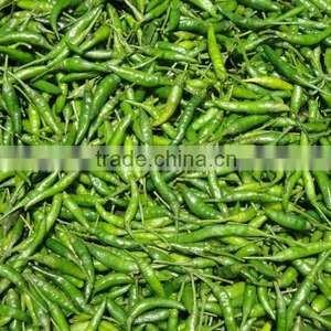 Fresh Vegetables thumbnail-1