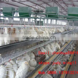 Quail Battery Cages for Sale Poultry Battery Cages Chicken Cages thumbnail-3