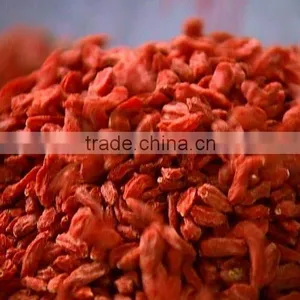 Certificated Organic Goji Berry thumbnail-6
