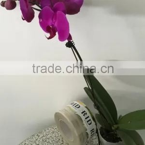 Cheap Price High Quality Rolling Wine Labels Printing Self-adhesive Vinyl Stickers thumbnail-1