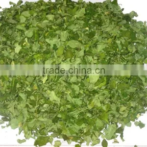 MORINGA DRIED LEAF/ MORINGA OLEIFERA thumbnail-4
