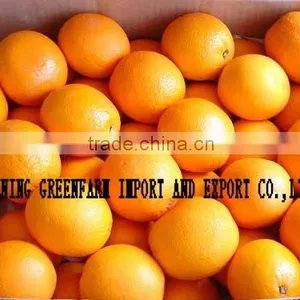 China Mandarin Orange thumbnail-1