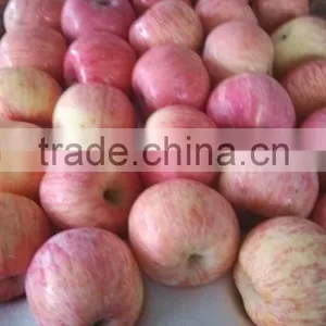 Grade A Fuji Apple/80% and up Red Colour thumbnail-1