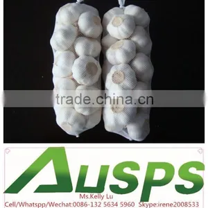 China Farm Fresh Garlic thumbnail-4