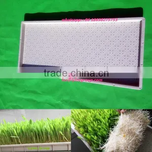 Hydroponics Multi Purpose Wheat Plant Growing Trays thumbnail-1