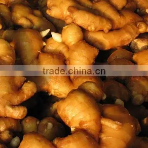 Chinese Ginger thumbnail-1