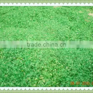 Hot Washed Green Recycling PET Flakes thumbnail-1