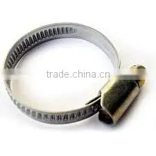 Hose Clamps thumbnail-1