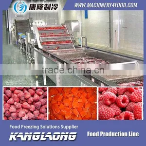 New Technology Large Capacity Fruit Processing Machine thumbnail-1