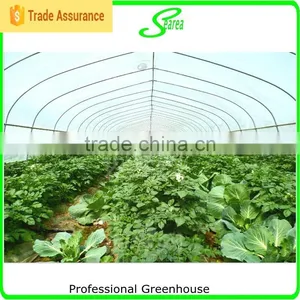 Easy Assemble Greenhouse for Tomatoes for Sale thumbnail-1