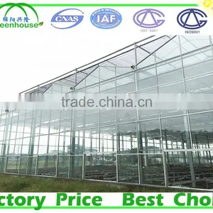 Wind Span Glass Greenhouse thumbnail-2