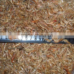 Top Quality Dry Shrimp // Fish Food Dried Shrimp thumbnail-1