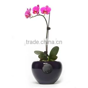 Stylish Desktop Flower Pot Vase With Time Temperature Humidity Display thumbnail-1