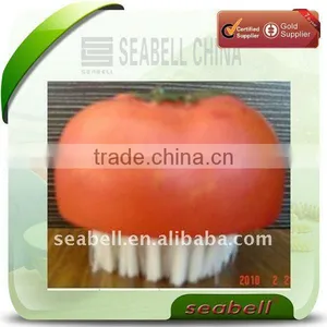 Tomato Cleaning Brush thumbnail-1