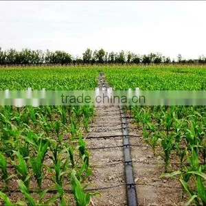 SEEDAA Irrigation Drip Tape - Crops Drip Tape /Plastic Dripline for Watering /Drip Tubes thumbnail-3