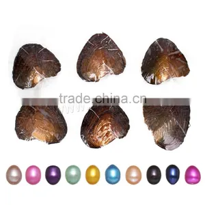 Raw Pearlsfreshwater Cultured Love Wish 9-9.5mm Colored Oyster Pearls thumbnail-1