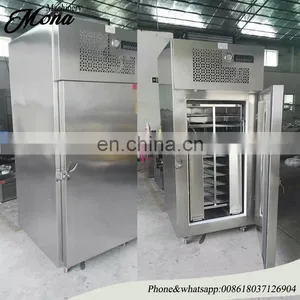 MADE IN CHINA Taylor Freezer/industrial Meatball Freezer Machine/hot Sale French Fries Instant Freezer thumbnail-1