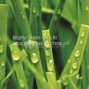 Synthetic Grass for Tennis, MT-Peace thumbnail-1