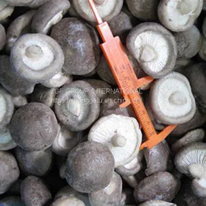 Frozen IQF Shiitake Mushroom thumbnail-2