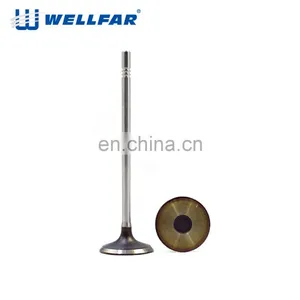 High Performance Auto Oil 16 Quick Car Engine Intake And Exhaust Valves For Nissan For Toyota For Isuzu 4HF1 thumbnail-5