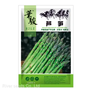 80pcs Asparagus Seeds Vegetable Garden Asparagus Sparrow Grass Asparagus Officinalis Seeds for Planting thumbnail-1