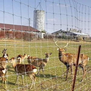 Hot Dipped Galvanized Square Corral Fence Panel for Livestock Horse and Cattle thumbnail-2