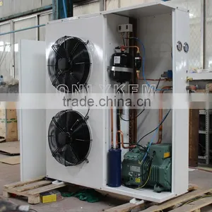 Outdoor Condensing Units for Cold Room thumbnail-6