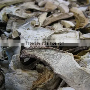 High Quality Dried Boletus From Yuannan thumbnail-6