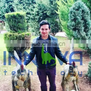 Life-size Automatic Inflatable Amusement Rides of Animatronic Dinosaurs thumbnail-4
