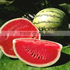 Fresh Apples | Mangoes | Banana | Avocados | Oranges | Water Melon thumbnail-1