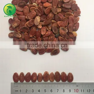 Chinese Seedless Watermelon Seed thumbnail-2