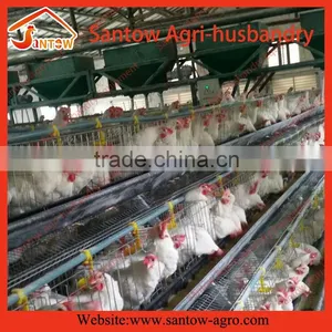 Chicken Use Welded Wire Chicken Layer Cages Poultry Farm Egg Layer Cage House Coop thumbnail-5