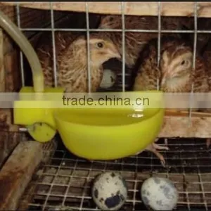 Quail Farm Automatic Drinker and Feeder Equipment For Sale thumbnail-2