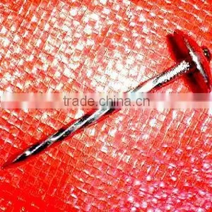 2.5" South African Market Twisted Nails thumbnail-4