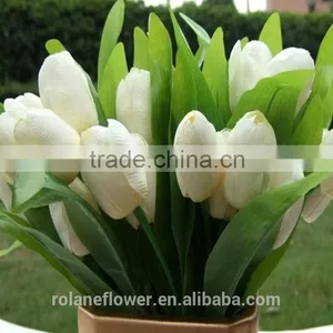 Graceful High Quality White Tulip Flower for Exporting thumbnail-1